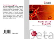 Prandtl–Glauert Singularity kitap kapağı