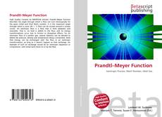 Capa do livro de Prandtl–Meyer Function 