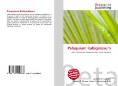 Portada del libro de Palaquium Rubiginosum
