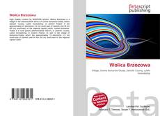 Bookcover of Wolica Brzozowa