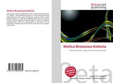 Bookcover of Wolica Brzozowa-Kolonia