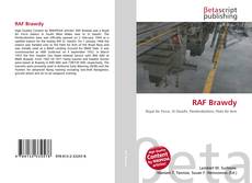 RAF Brawdy kitap kapağı