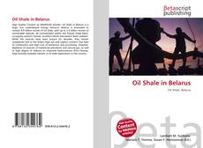 Buchcover von Oil Shale in Belarus