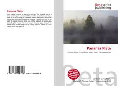 Bookcover of Panama Plate