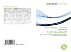 Couverture de Esprit (Surnaturel)