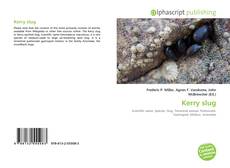 Buchcover von Kerry slug