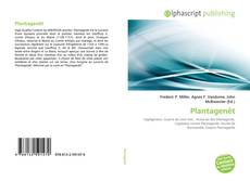Bookcover of Plantagenêt