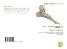Couverture de Bone healing