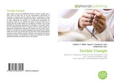 Portada del libro de Terrible Triangle