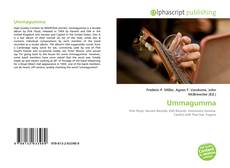 Portada del libro de Ummagumma