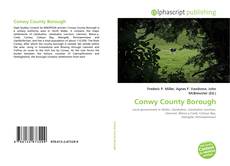 Conwy County Borough kitap kapağı