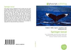Capa do livro de Springer (orca) 