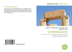 Buchcover von Ur (Mésopotamie)