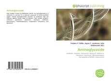 Обложка Aminoglycoside