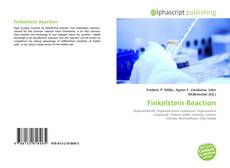 Finkelstein Reaction kitap kapağı