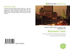 Bookcover of Beaumont, Texas