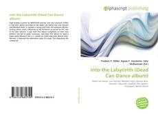 Bookcover of Into the Labyrinth (Dead Can Dance album)