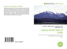Portada del libro de Laguna Verde (lake of Chile)