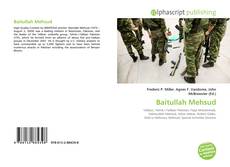 Baitullah Mehsud kitap kapağı