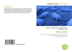 Borítókép a  Salmonella - hoz