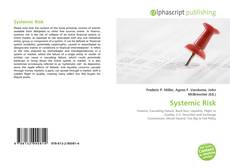 Bookcover of Systemic Risk