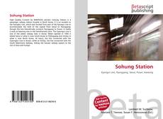 Capa do livro de Sohung Station 