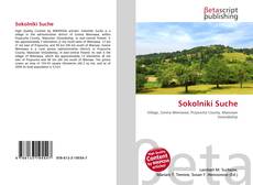 Bookcover of Sokolniki Suche