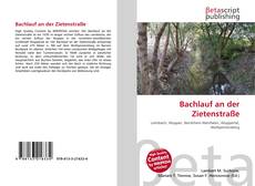 Borítókép a  Bachlauf an der Zietenstraße - hoz