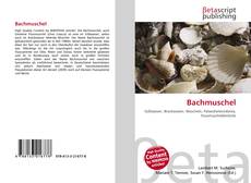Bachmuschel的封面