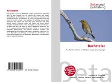 Copertina di Bachstelze