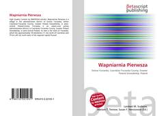 Capa do livro de Wapniarnia Pierwsza 