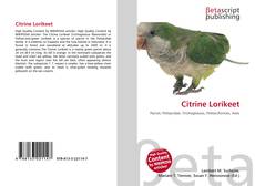 Citrine Lorikeet kitap kapağı