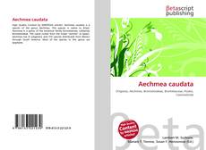 Borítókép a  Aechmea caudata - hoz