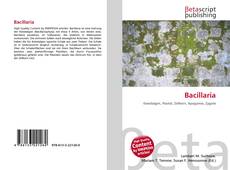 Capa do livro de Bacillaria 