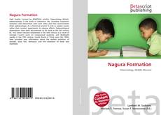 Bookcover of Nagura Formation