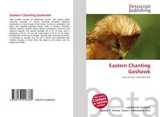 Borítókép a  Eastern Chanting Goshawk - hoz