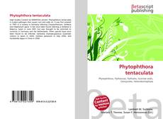 Buchcover von Phytophthora tentaculata