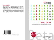 Couverture de Pinus clausa