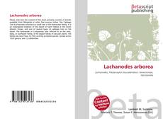 Обложка Lachanodes arborea