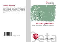 Solandra grandiflora kitap kapağı