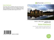 Bookcover of Brien FitzCount