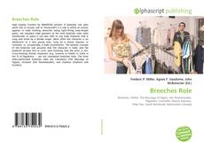Bookcover of Breeches Role