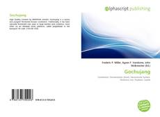 Capa do livro de Gochujang 