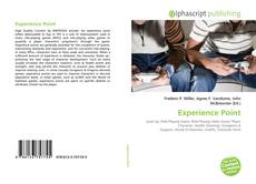 Bookcover of Experience Point