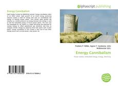 Capa do livro de Energy Cannibalism 