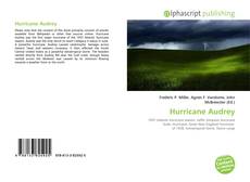 Portada del libro de Hurricane Audrey