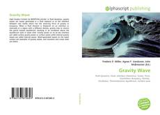 Bookcover of Gravity Wave