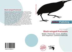 Black-winged Pratincole的封面