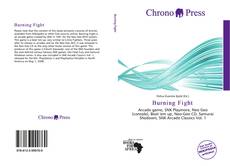 Bookcover of Burning Fight