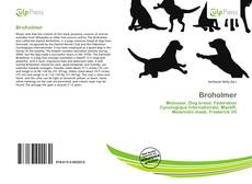 Bookcover of Broholmer